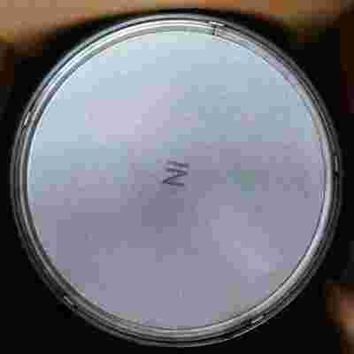 kaufen Mass Production High Temperature Stability Selective Catalytic Reduction Catalyst for Commercial Vehicle Aftertreatment Online-Herstellung